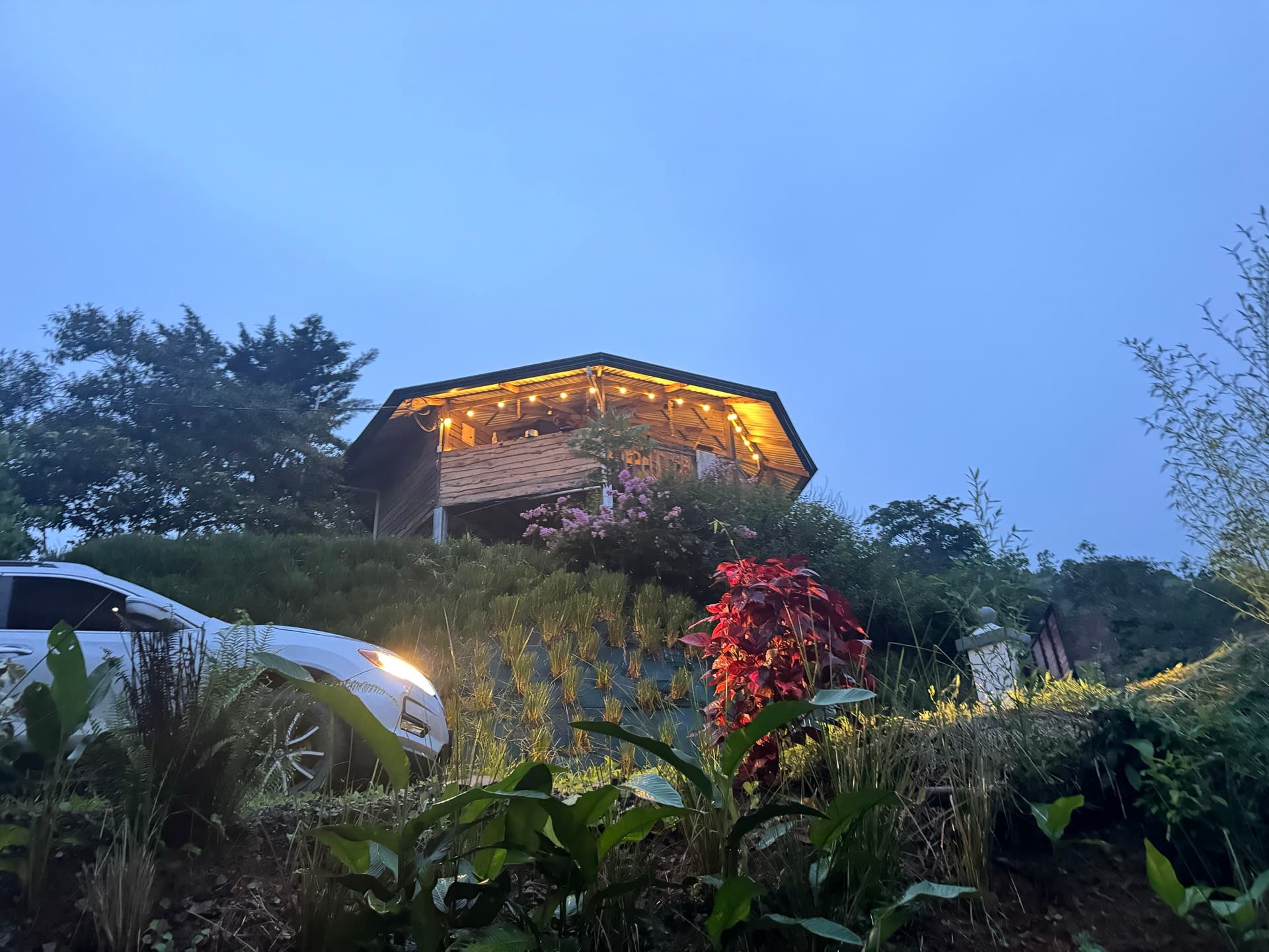 Ceremony pavilion at dusk with garden lights