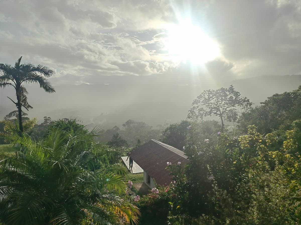 Photo by Ayahuasca Costa Rica